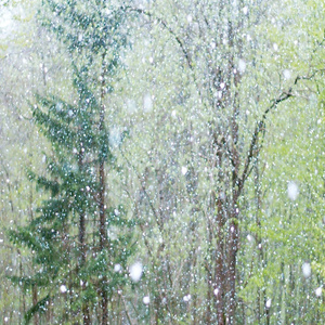 免费大雷的宝藏库
