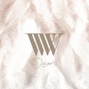 免费大雷的宝藏库
