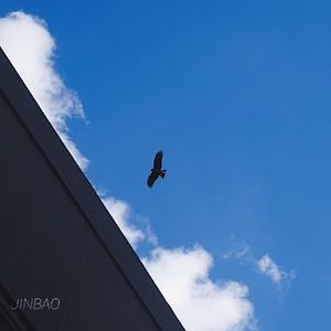 免费大雷的宝藏库
