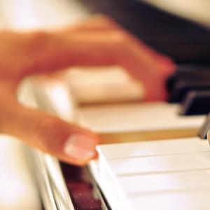 免费大雷的宝藏库
