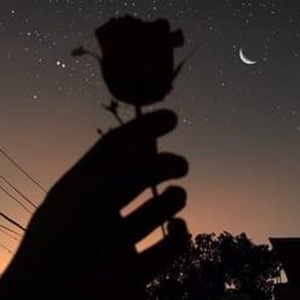 免费大雷的宝藏库
