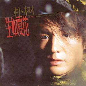 免费大雷的宝藏库
