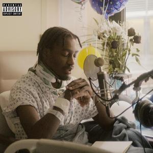 免费大雷的宝藏库
