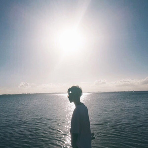 免费大雷的宝藏库
