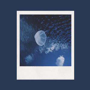 免费大雷的宝藏库
