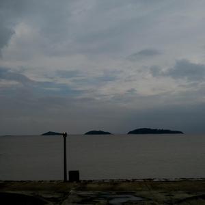 免费大雷的宝藏库
